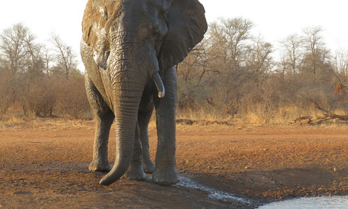 by Kaizer Mathebula